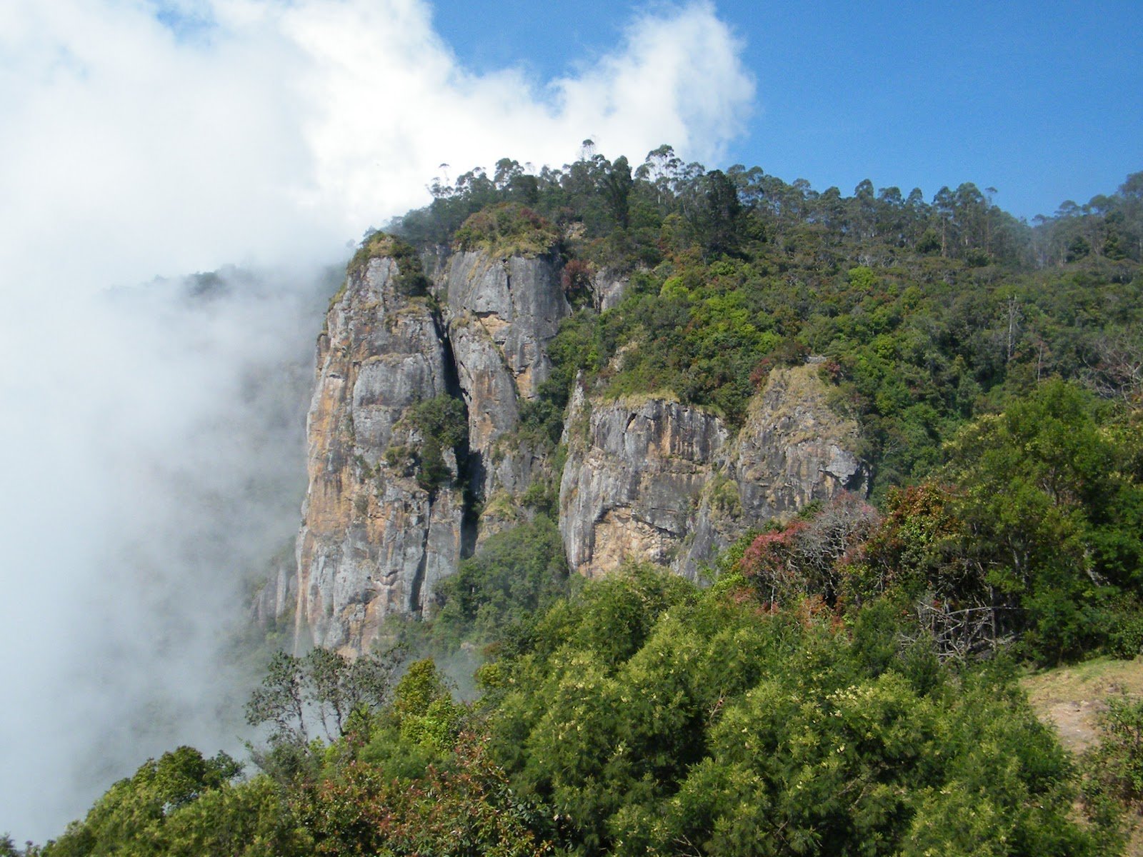 popular-places-to-visit-from-ooty-namaste