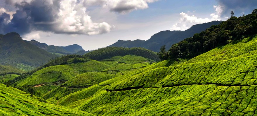 MUNNAR Perfect Destination For Winter – NAMASTE